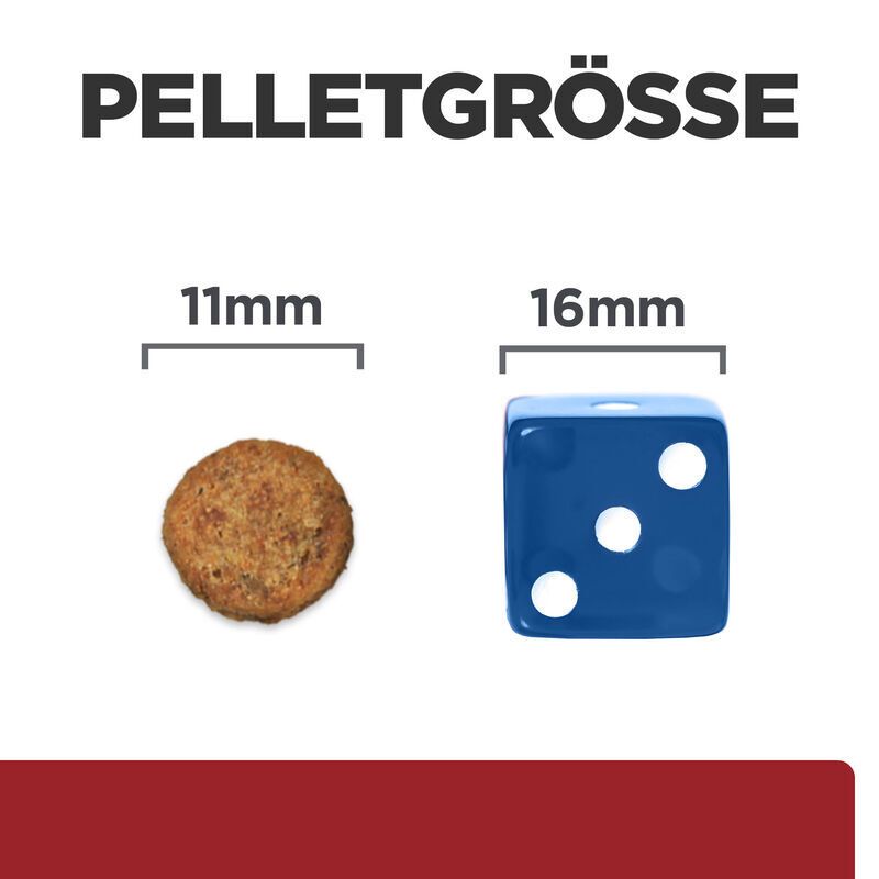 Vergleich der Pelletgrößen: 11mm und 16mm. Ein Pellet und ein blauer Würfel mit weißen Punkten.