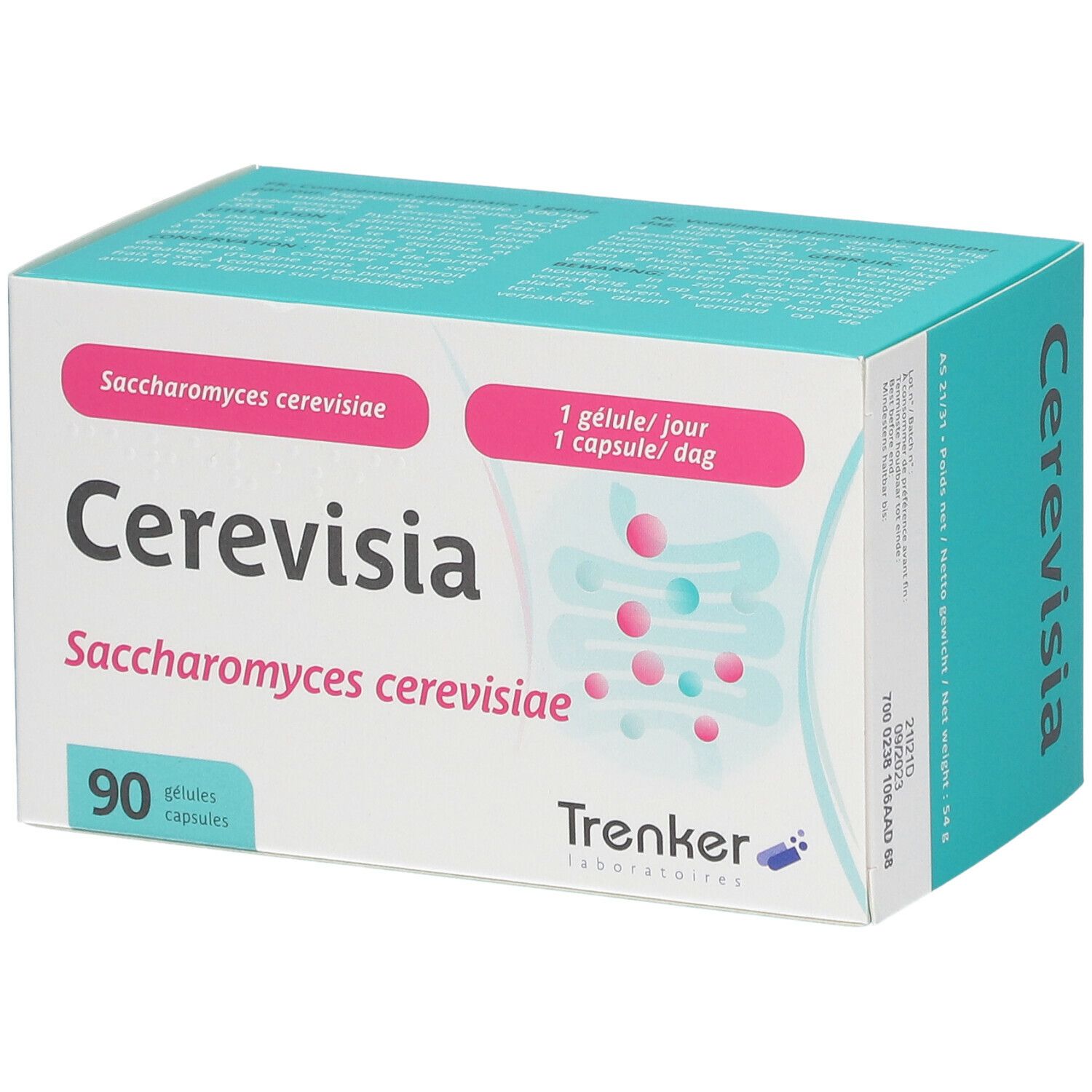 Cerevisia