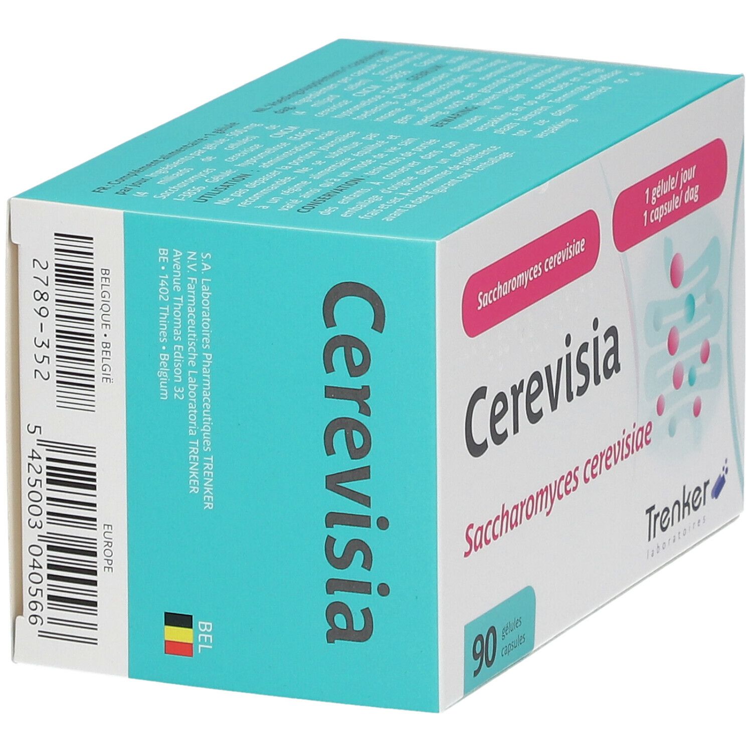 Cerevisia