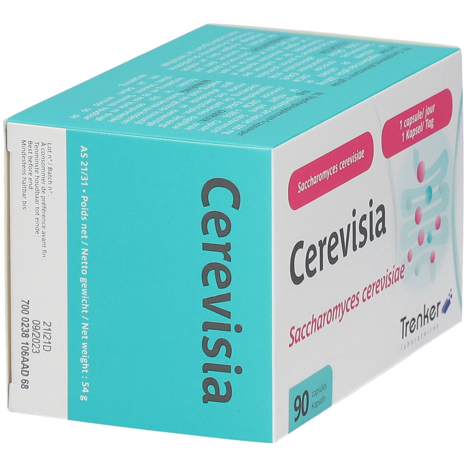 Cerevisia