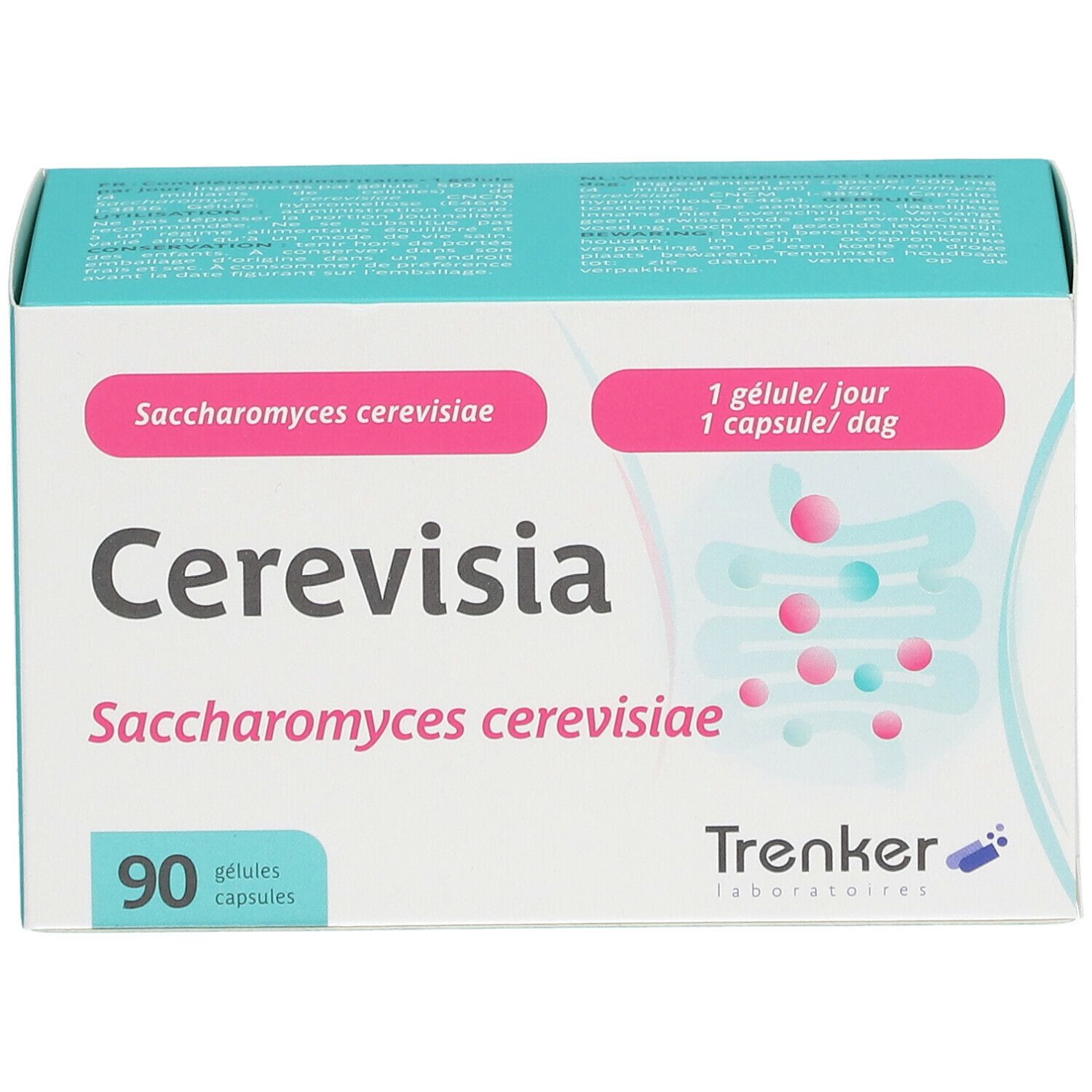 Cerevisia