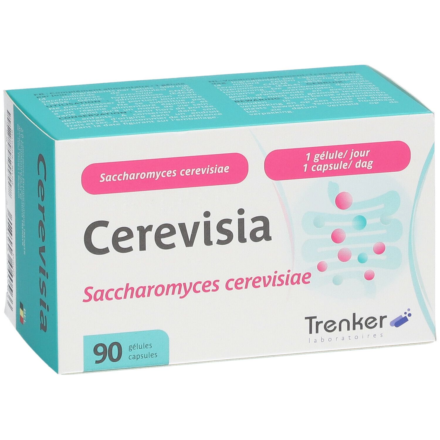 Cerevisia