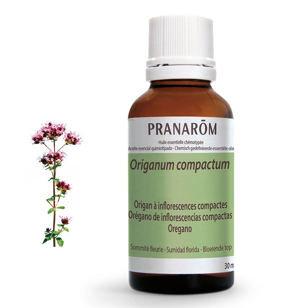 Braune Glasflasche mit weißem Deckel. Etikett mit Produktnamen und floraler Abbildung. Daneben Oregano-Pflanze.