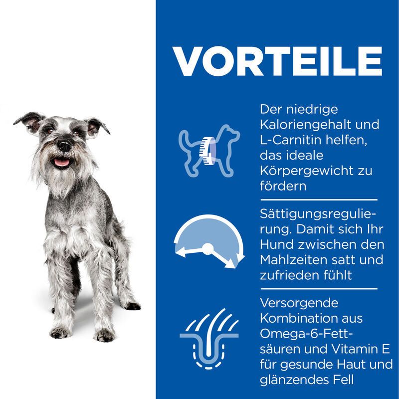Blauer Hintergrund mit Text und Icons. Text: Vorteile. Icons: Hund, Pfeil, Fell. Text über Kalorien, Sättigung, Omega-6-Fettsäuren.