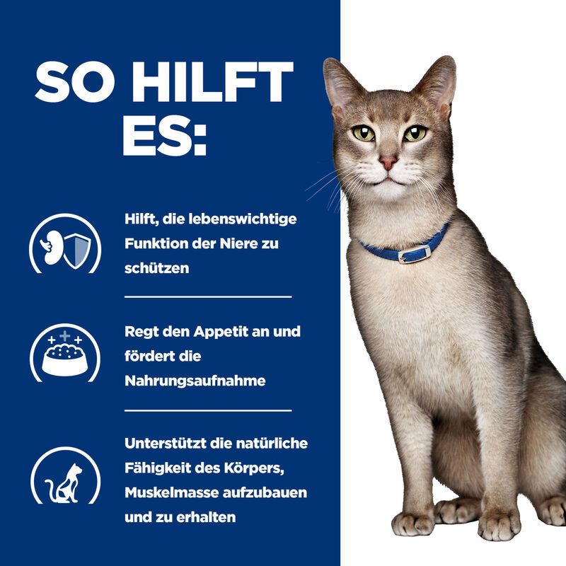 Hill's Prescription Diet Kidney Care k/d  Lachs