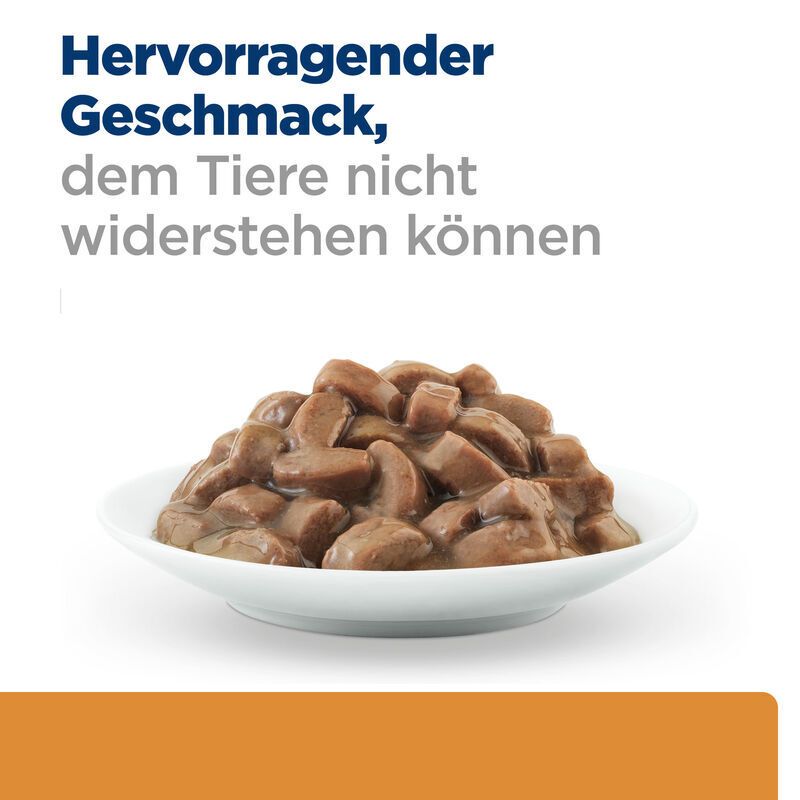 Hill's Prescription Diet Kidney Care k/d  Lachs