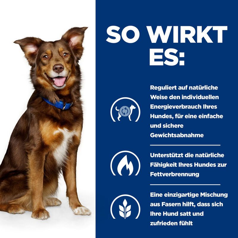 Blauer Hintergrund mit Text und Icons. Beschreibt die Wirkung des Produkts auf Hunde. Ein Hund ist abgebildet.