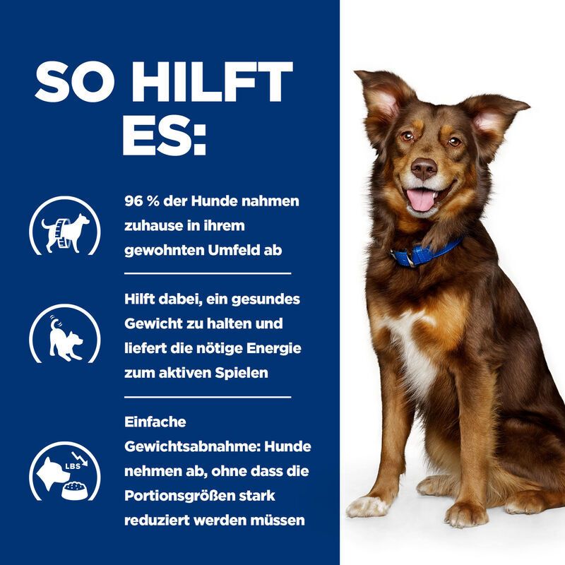 Blauer Hintergrund mit Text und Icons. Beschreibt, wie das Produkt hilft. Ein Hund ist abgebildet.