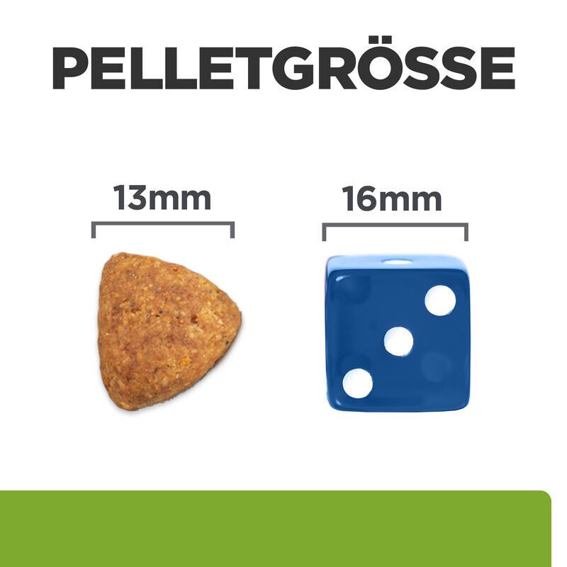 Vergleich der Pelletgrößen. Links: 13mm Pellet. Rechts: Blauer Würfel mit 16mm und drei weißen Punkten.