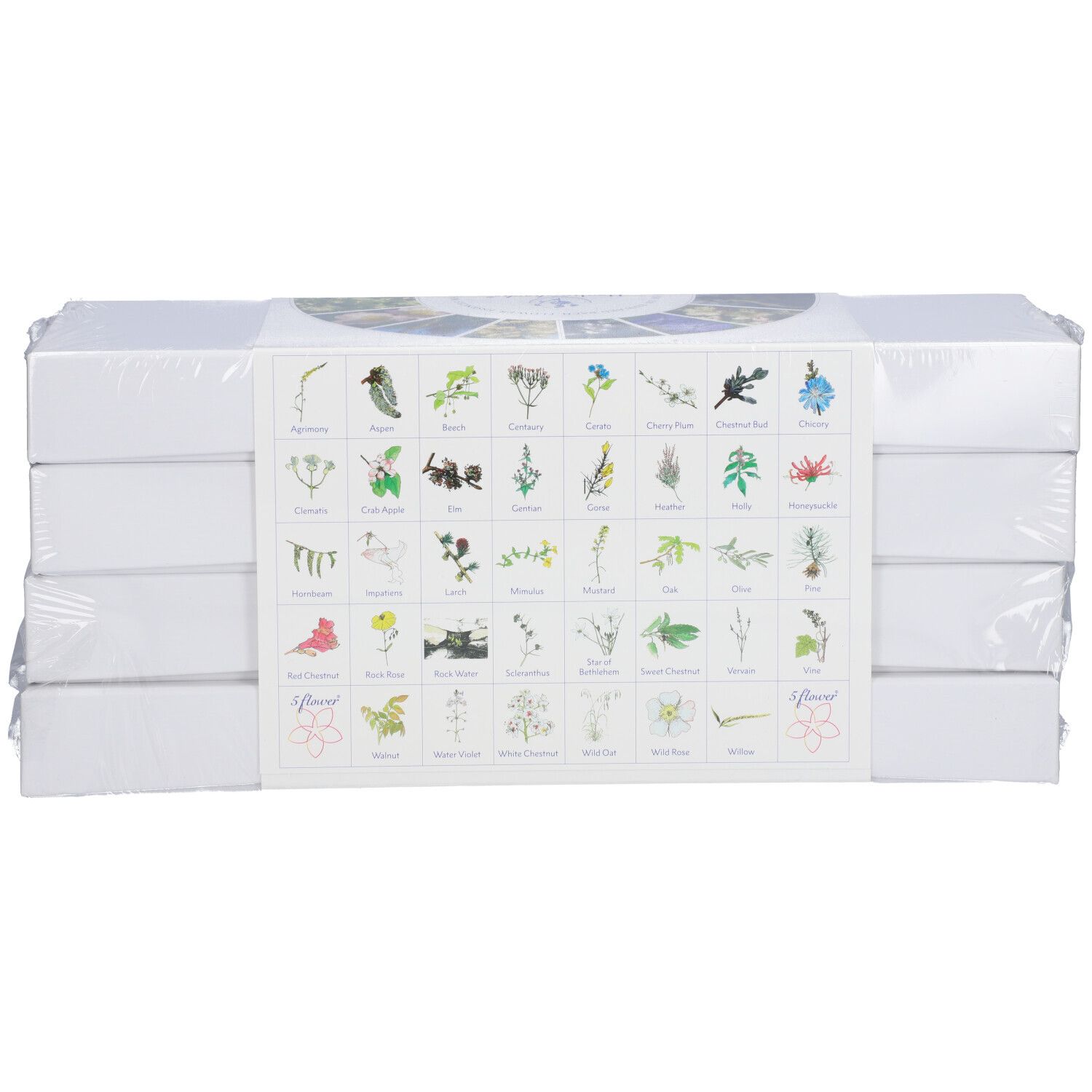 Verpackung mit Bachblüten. Abbildung von Blüten. Aufschrift: Healingherbs Original Bach Flowers. 38 Blütenessenzen + 2.