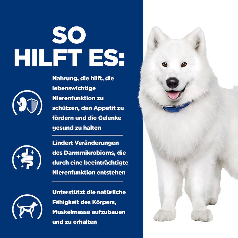 Infografik mit Text: So hilft es. Enthält Icons und Text über die Vorteile des Hundefutters für die Gesundheit.