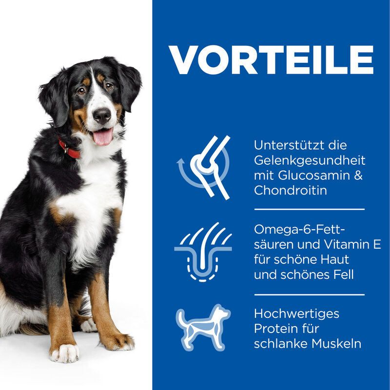 Hund mit Text: Vorteile. Gelenkgesundheit, Haut & Fell, hochwertiges Protein. Blaue Grafik.