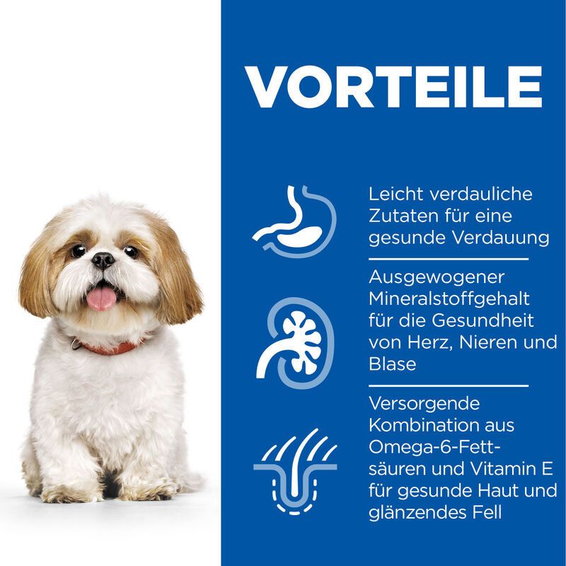 Blaues Informationsfeld mit Illustrationen. Text: Vorteile, gesunde Verdauung, Mineralstoffgehalt, Haut und Fell.