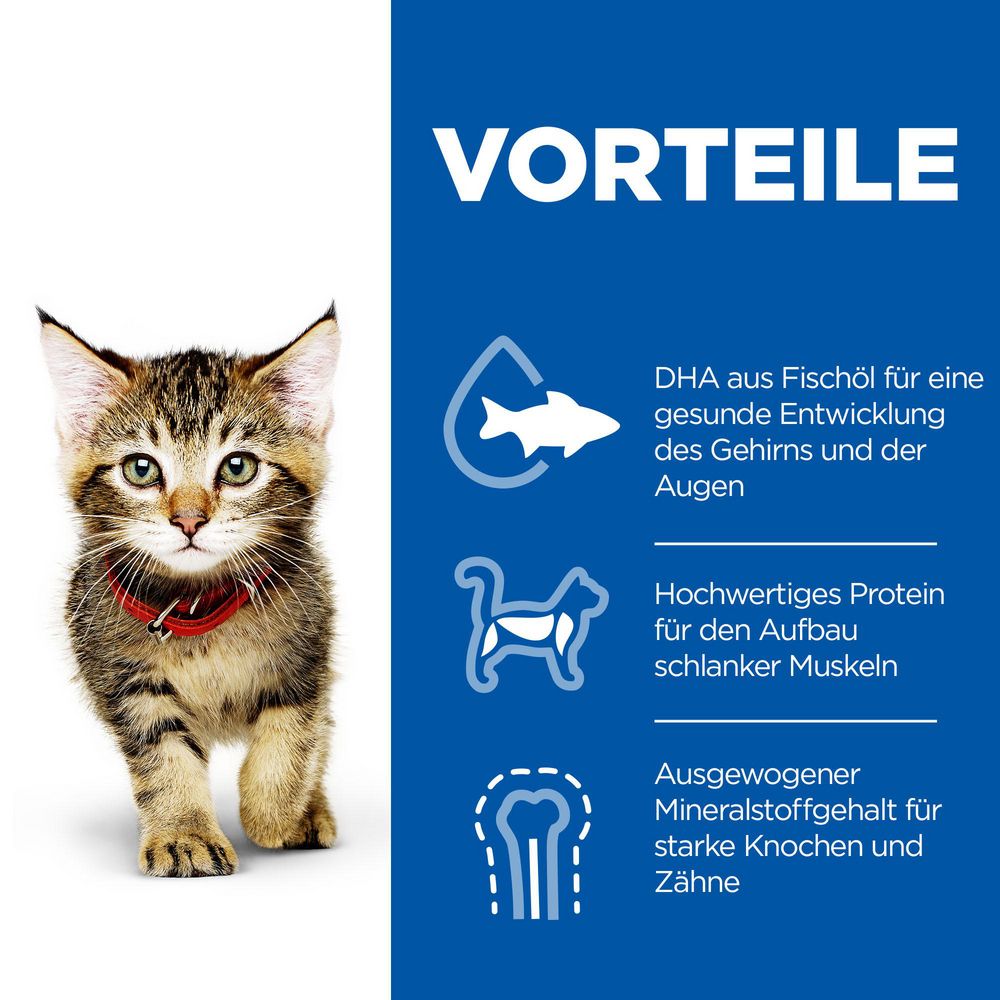 Kätzchen mit rotem Halsband. Text: Vorteile, DHA, Protein, Mineralstoffe. Symbole: Fisch, Katze, Knochen.