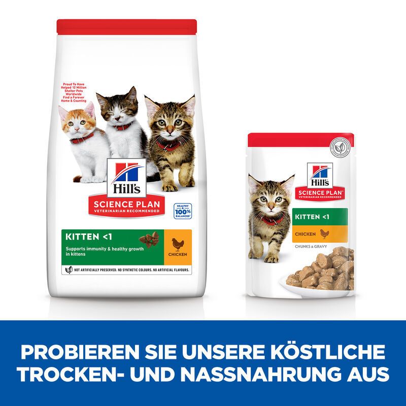 Hill's Science Plan Kitten <1 Huhn. Trocken- und Nassnahrung. Beutel und Schale mit Kätzchen. Text: Kitten <1, Huhn.