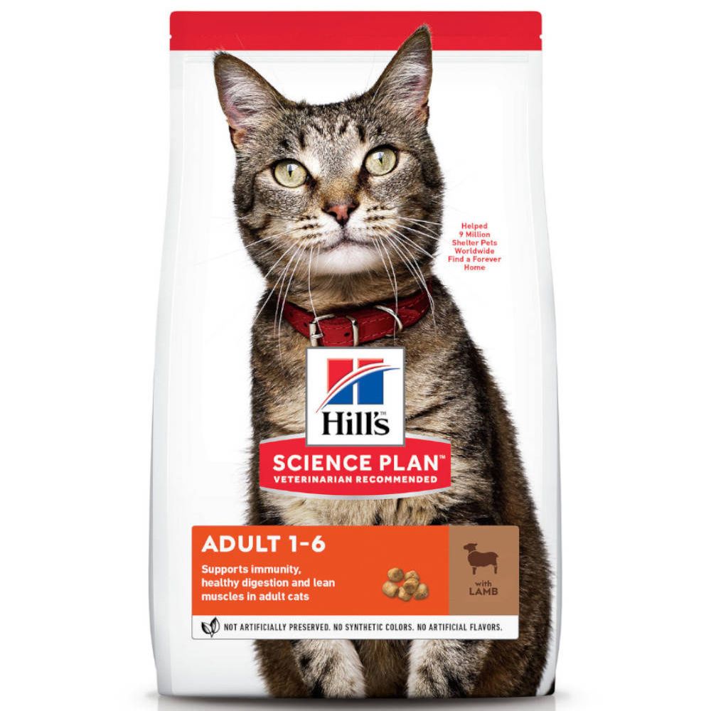 Beutel mit Katzenfutter. Aufdruck: Hill's Science Plan Adult 1-6. Abbildung einer Katze. Mit Lamm.