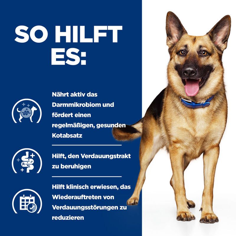 Blauer Hintergrund mit Text und Hund. Text: So hilft es: Darmmikrobiom, Kotabsatz, Verdauungsstörungen.