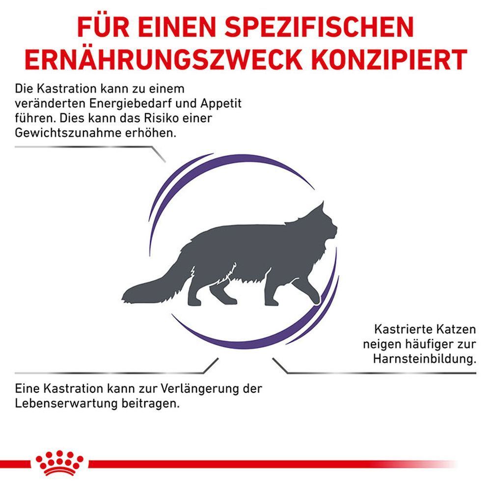 Fütterungsempfehlung für Katzen nach Gewicht und Ernährungszustand. Zeigt Mengen in Gramm.