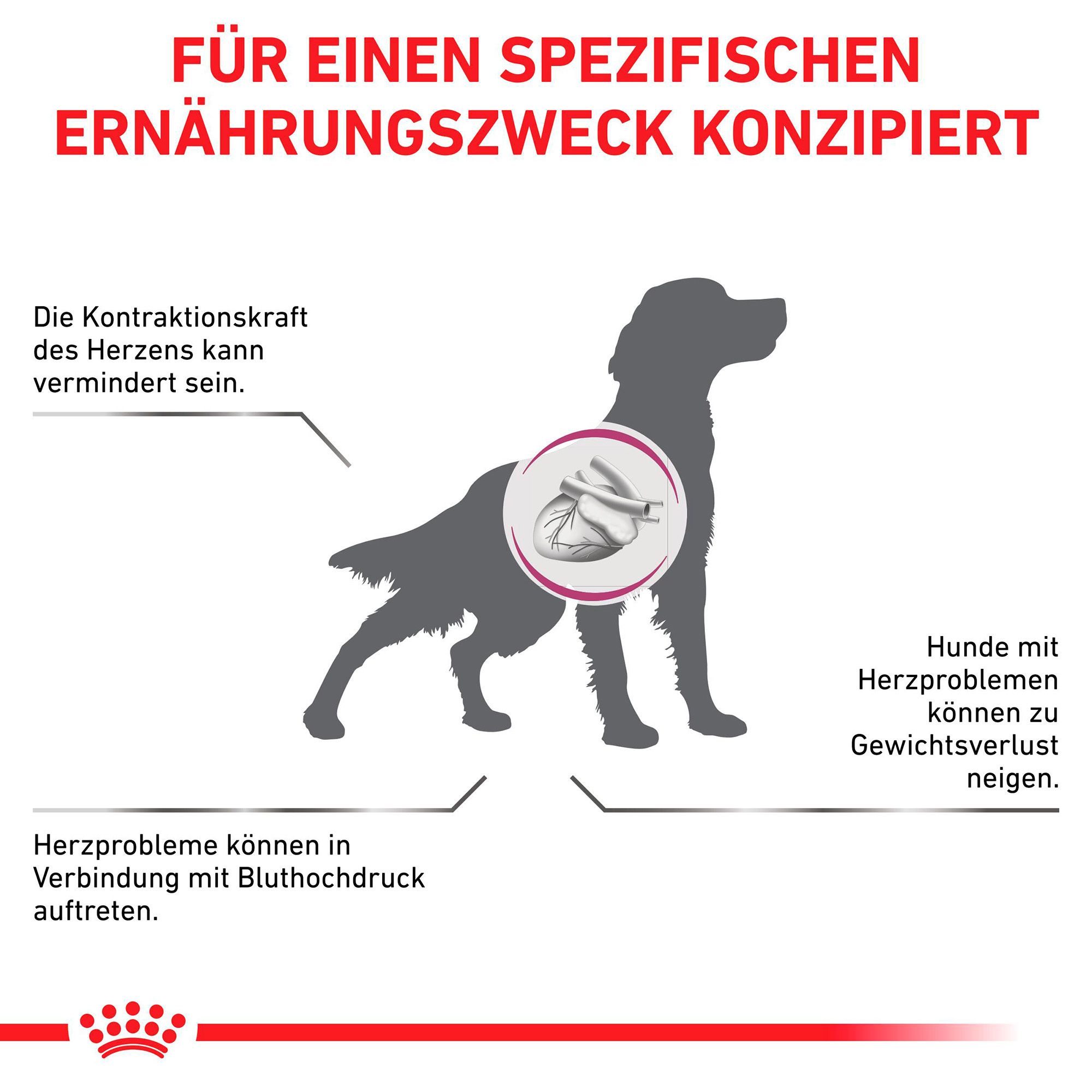 Verpackung mit 10 Dosen ROYAL CANIN® Veterinary Cardiac Hundefutter, schräg von vorne gezeigt.