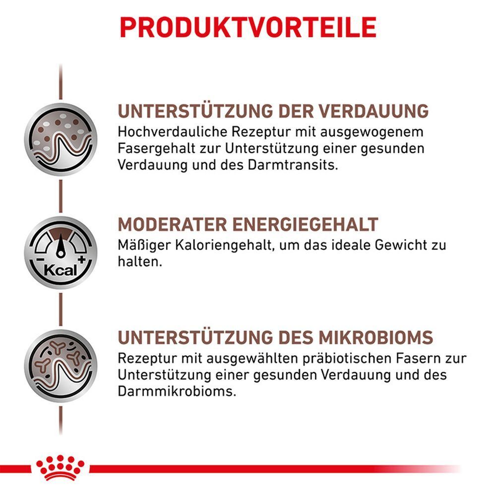 Produktvorteile: Unterstützung der Verdauung, moderater Kaloriengehalt, Unterstützung des Mikrobioms.