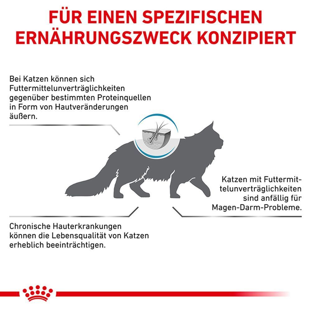 Grafik: Wissenschaftlich fundierte gesunde Ernährung für Katzen mit Verdauungsproblemen.