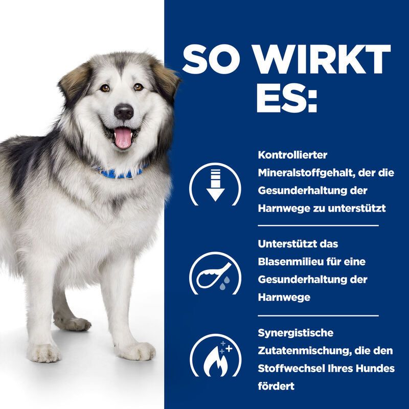 Grafik mit Hund und Text. Text: So wirkt es: Kontrollierter Mineralstoffgehalt, unterstützt die Harnwege. Unterstützt das Blasemilieu. Fördert den Stoffwechsel.