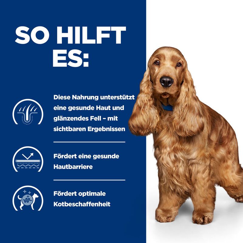 Hill's Prescription Diet z/d  Original Hundefutter
