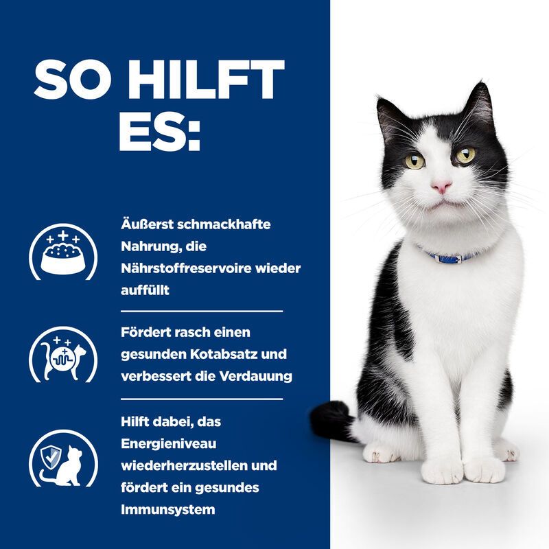 Katze mit Text. "So hilft es:" und Vorteile. Schmackhaft, Kotabsatz, Energie, Immunsystem. Produktvorteile.