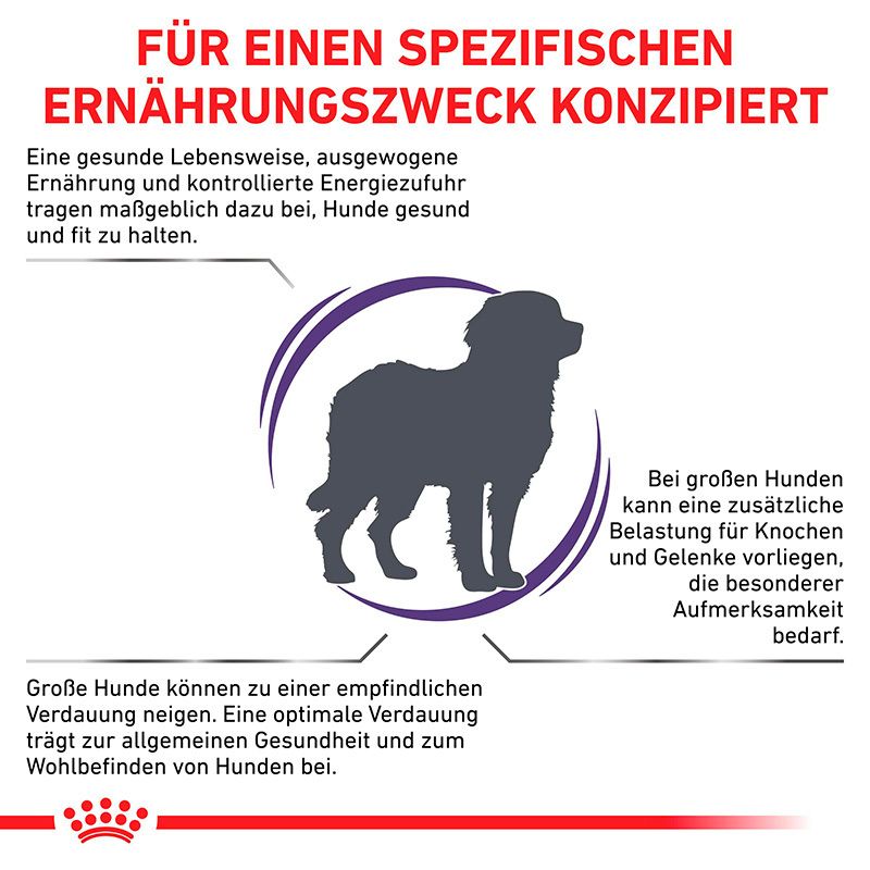 Silhouette eines großen Hundes innerhalb eines Kreises mit Text über Ernährung für Hunde.