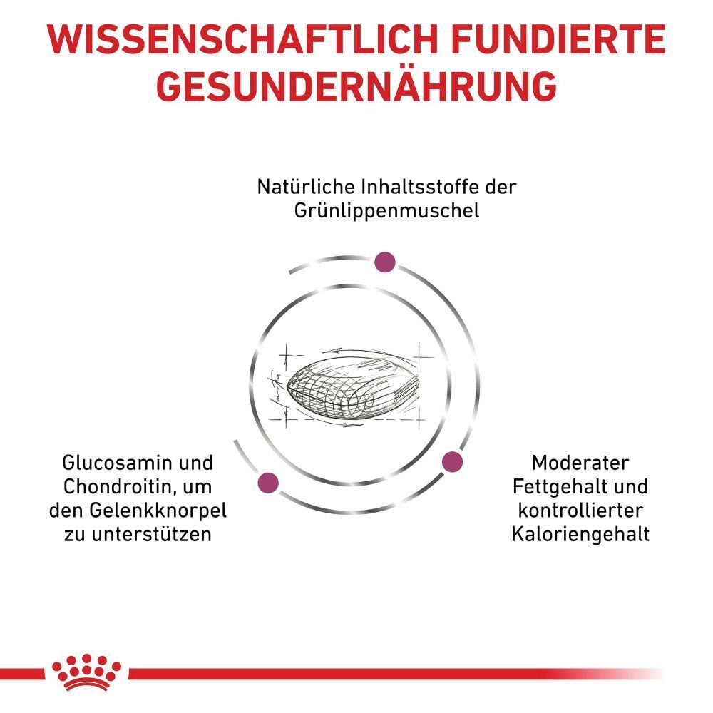 Grafik mit Muschel, Glucosamin, Chondroitin, moderatem Fett- und Kaloriengehalt. Titel: Wissenschaftlich fundierte Gesundheitsernährung.