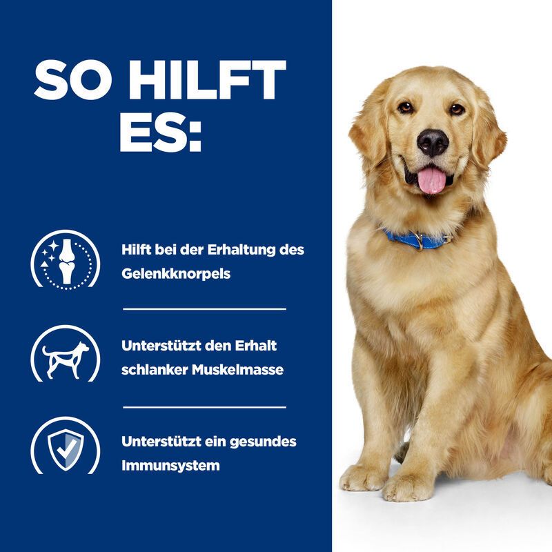 Blauer Hintergrund mit Text und Symbolen. Text: So hilft es: Gelenkknorpel, schlanke Muskelmasse, gesundes Immunsystem. Hund.