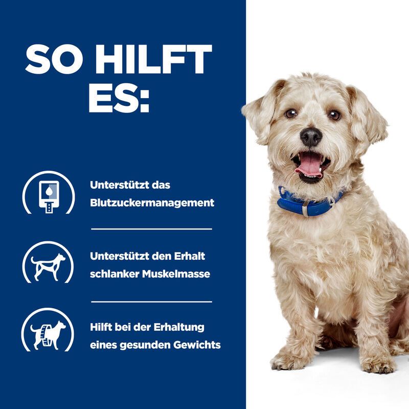 Hund mit Text. Text: So hilft es: unterstützt Blutzuckermanagement, Muskelerhalt, gesundes Gewicht.