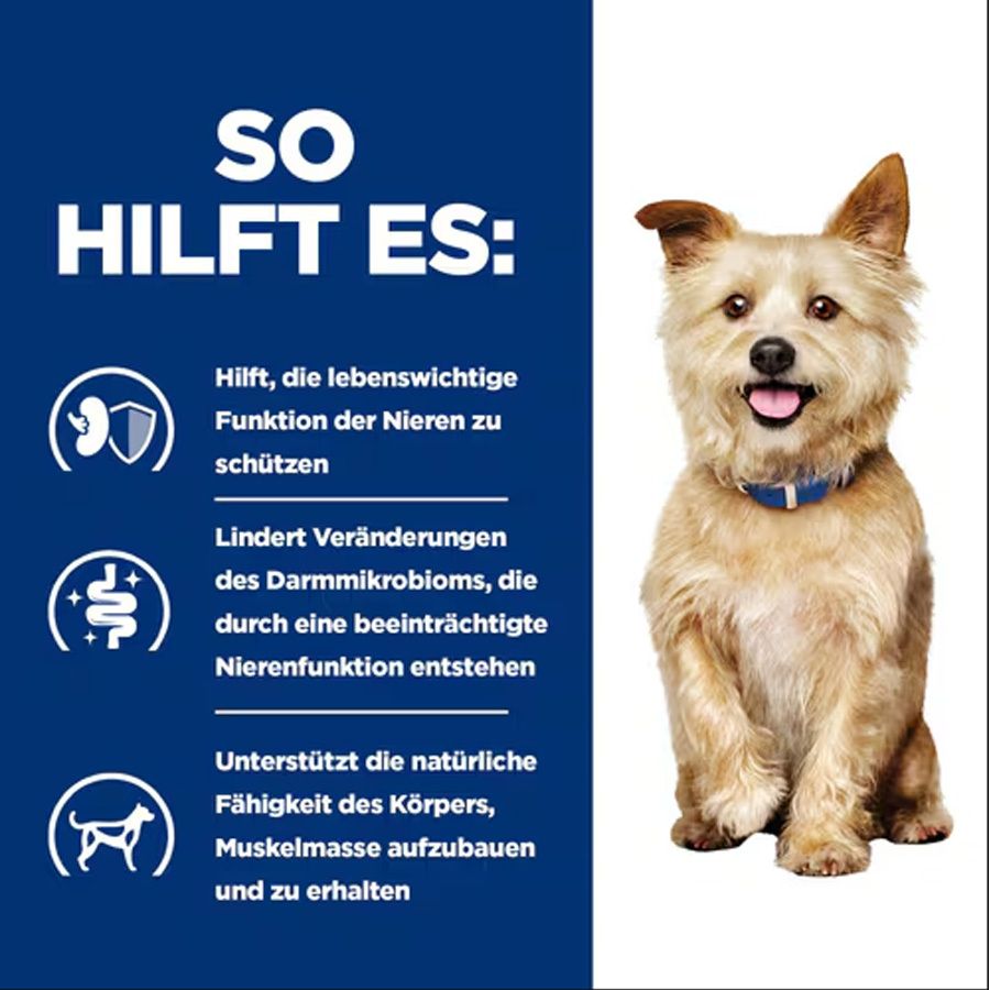 Hill's PRESCRIPTION DIET k/d Nierenpflege Chien. Text mit Icons. Nierenfunktion schützen, Darmmikrobiom, Muskelmasse aufbauen. Hund.