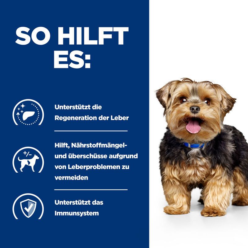 Blauer Hintergrund mit Text und Symbolen. Kleiner Hund abgebildet. Text: SO HILFT ES: Regeneration der Leber, Vermeidung von Nährstoffmängeln, Unterstützung des Immunsystems.