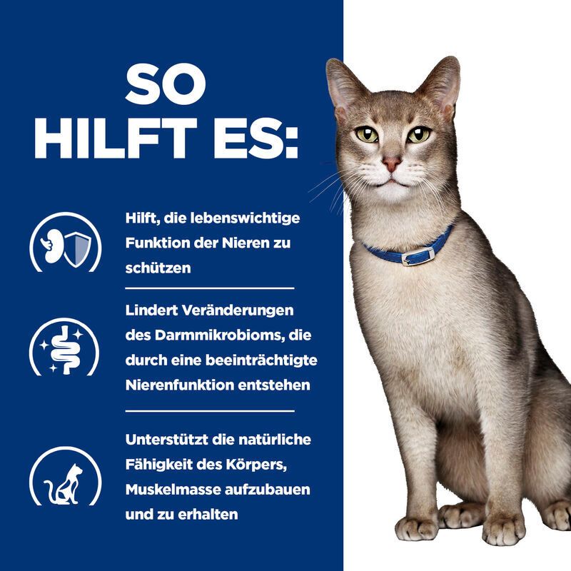 Katze mit Halsband. Text: So hilft es: Nieren schützen, Darmmikrobiom, Muskelaufbau. Hintergrund blau.