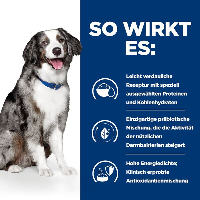 Infografik: "So wirkt es:", leicht verdauliche Rezeptur, präbiotische Mischung, hohe Energiedichte, Antioxidantienmischung, Hund.