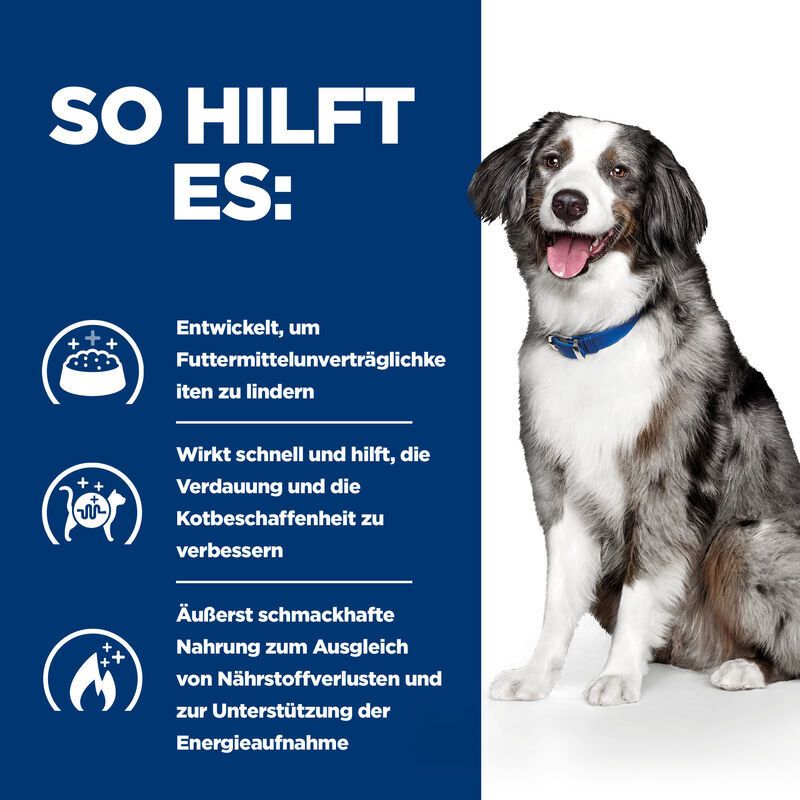 Infografik: "So hilft es:", Futterunverträglichkeiten lindern, Kotbeschaffenheit verbessern, Energieaufnahme unterstützen, Hund.