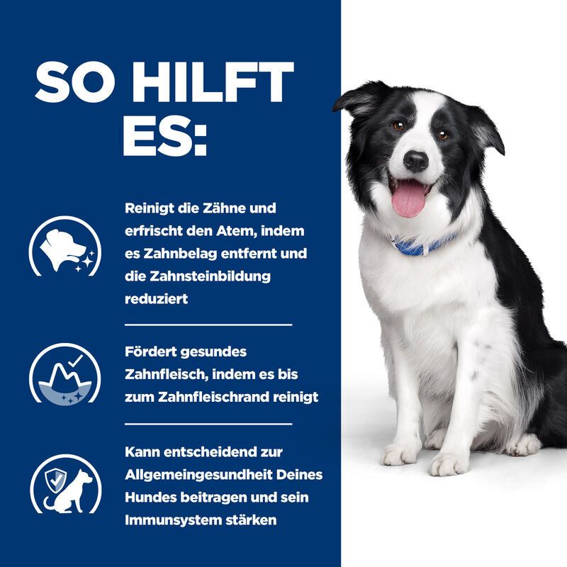 Hund mit Text: So hilft es: Reinigt die Zähne. Fördert gesundes Zahnfleisch. Kann zur allgemeinen Gesundheit beitragen.
