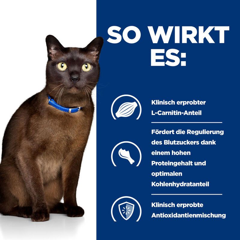 Katze mit Text: So wirkt es: L-Carnitin, Blutzuckerregulierung, Protein- und Kohlenhydratanteil, Antioxidantienmischung.