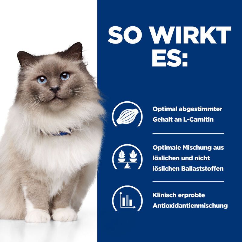 Blauer Hintergrund mit Text: So wirkt es: L-Carnitin, Ballaststoffe, Antioxidantien. Abgebildet ist eine Katze.