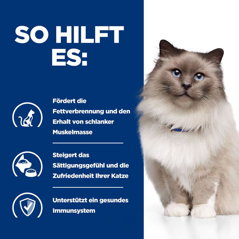 Blauer Hintergrund mit Text: So hilft es: Fettverbrennung, Sättigungsgefühl, Immunsystem. Abgebildet ist eine Katze.