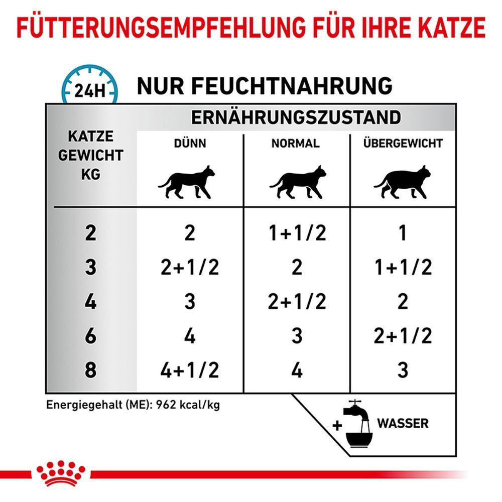 Fütterungsempfehlung für Katzen: Tabelle zeigt Futtermenge in Dosen basierend auf Gewicht und Ernährungszustand. Nur Feuchtnahrung.