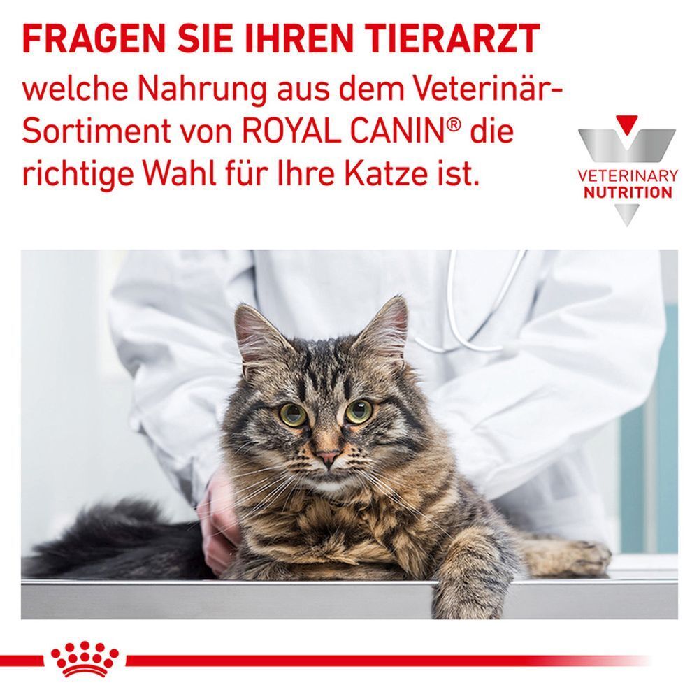 Katze liegt auf einem Tisch, Tierarzt im Hintergrund. Royal Canin Veterinary Nutrition Logo.