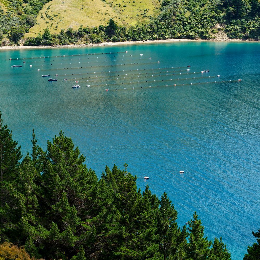 Landschaft mit blauem Wasser, Bäumen und Booten. Hügel im Hintergrund.