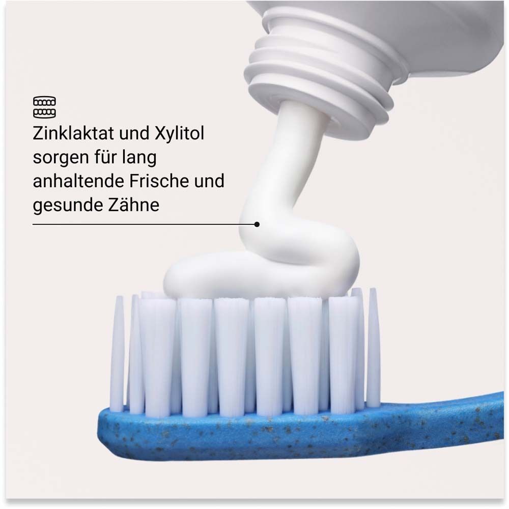 ALPINE WHITE Whitening Toothpaste Anti Plaque | Aufhellende Zahnpasta
