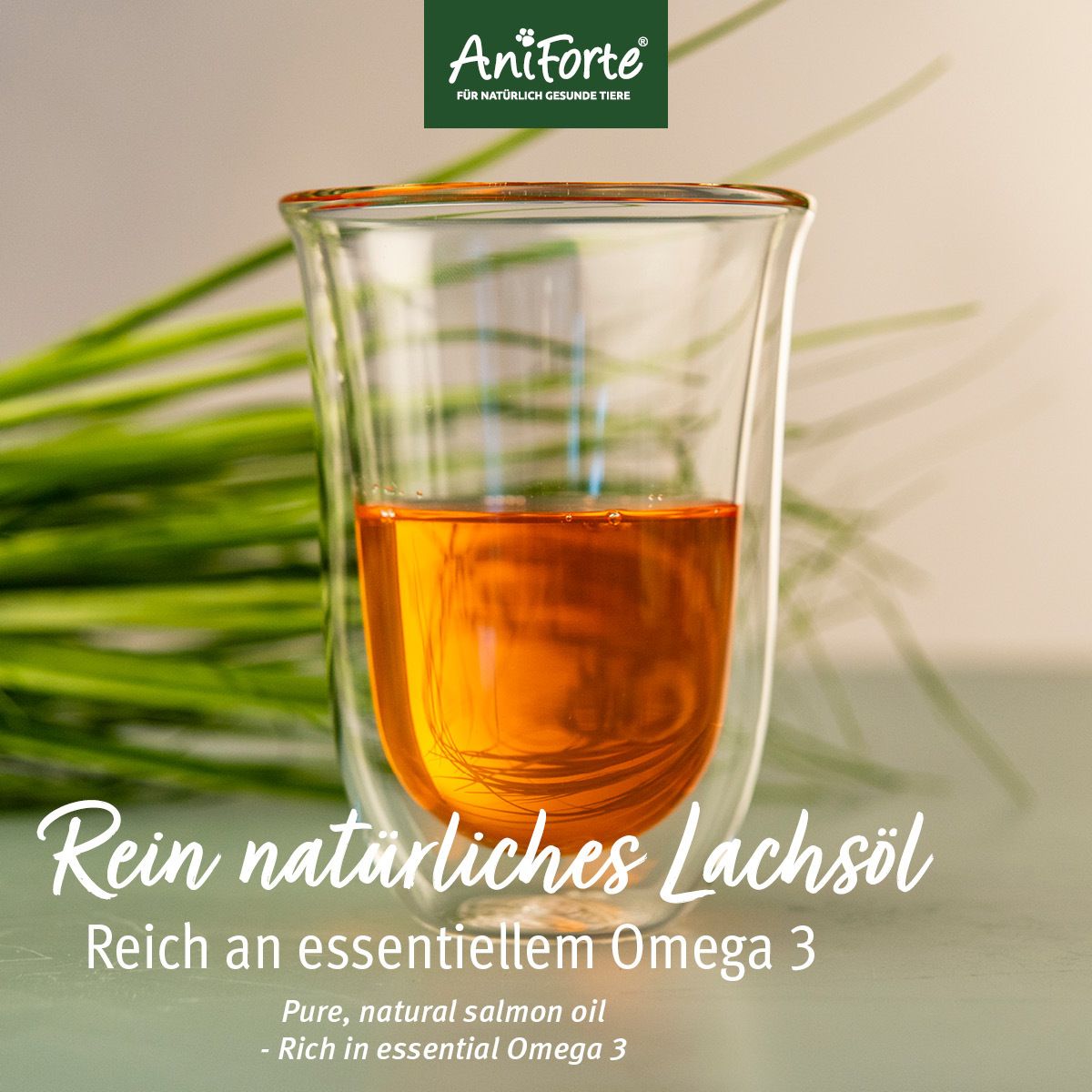 AniForte Lachsöl Salmon Oil