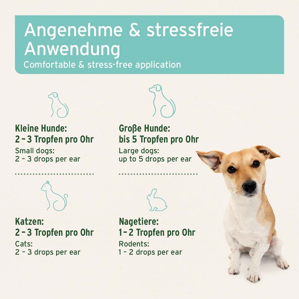 Infografik. Anwendungsempfehlung für Hunde, Katzen und Nagetiere. Tropfenanzahl pro Ohr.