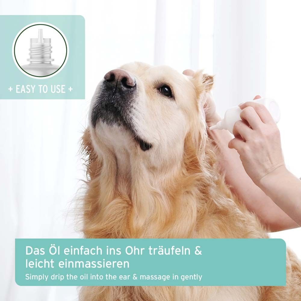 Hund wird das Öl ins Ohr geträufelt. Tropfer-Spitze. Text: Öl einfach ins Ohr träufeln & leicht einmassieren.