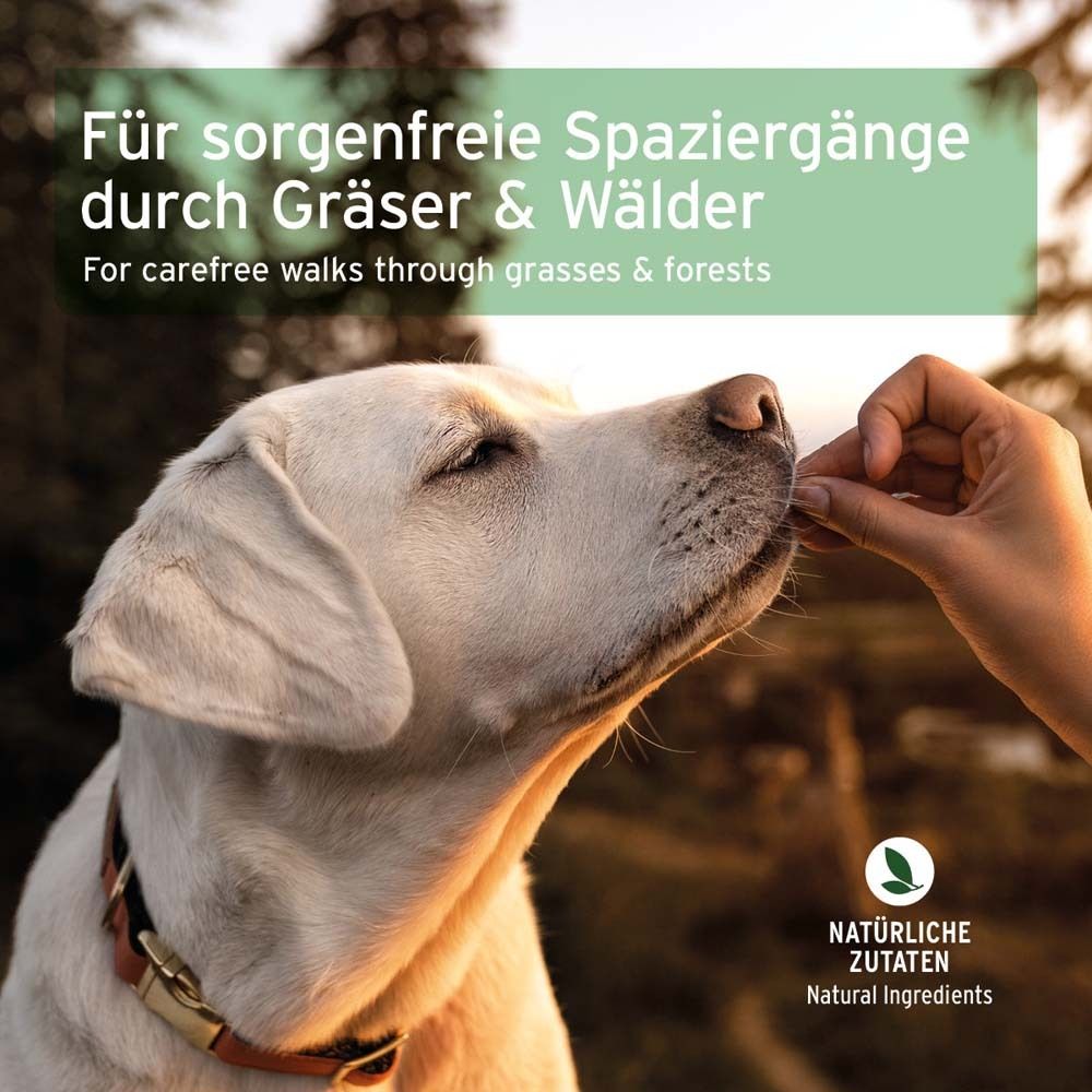 Hund bekommt Snack von Hand. Text: Für sorglose Spaziergänge durch Gräser & Wälder. Natürliche Zutaten.