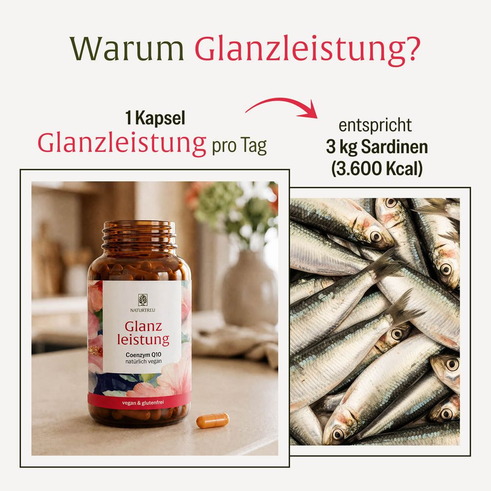Verpackung von Coenzym Q10. Dekoriert mit tropischen Blumen. Enthält 90 Kapseln.